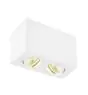 SLV Triledo Doppio Luce da soffitto Aluminium Bianca 14W 1300lm 38D - 830 Luce Calda - 