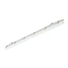 Philips Stagna LED Ledinaire WT065C 30/53W 4100/6800lm - 840 Bianco Freddo | 150cm - Cablaggio Entra/Esci